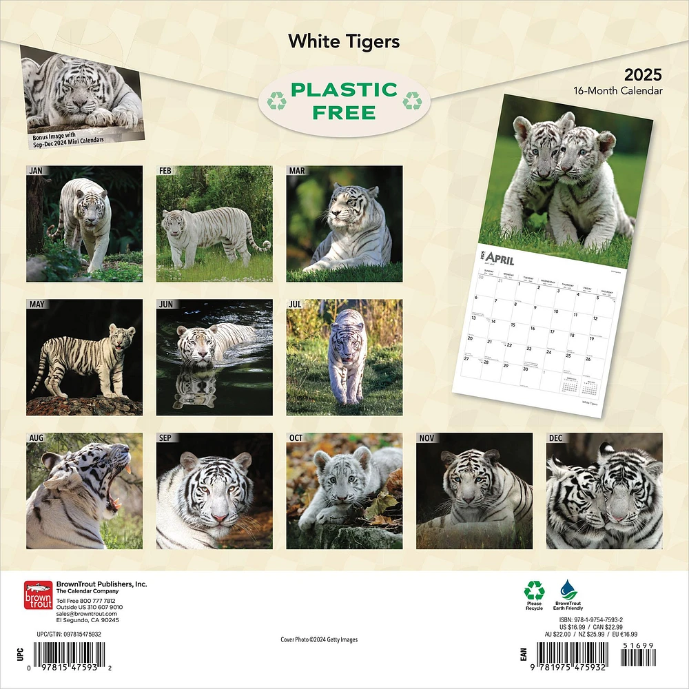 White Tigers Wall 2025 Calendar