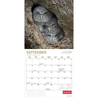 Canadian Geographic Wildlife 2026 Wall Calendar