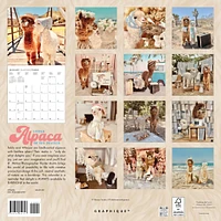 Litte Alpaca On The Prairie 2026 Wall Calendar