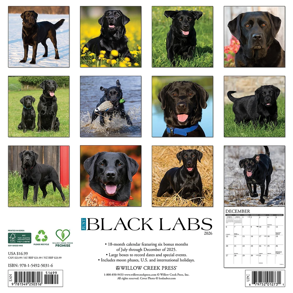 Just Black Labs 2026 Wall Calendar - Online Exclusive