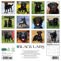 Just Black Labs 2026 Wall Calendar - Online Exclusive