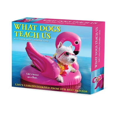 What Dogs Teach Us 2026 Box Calendar