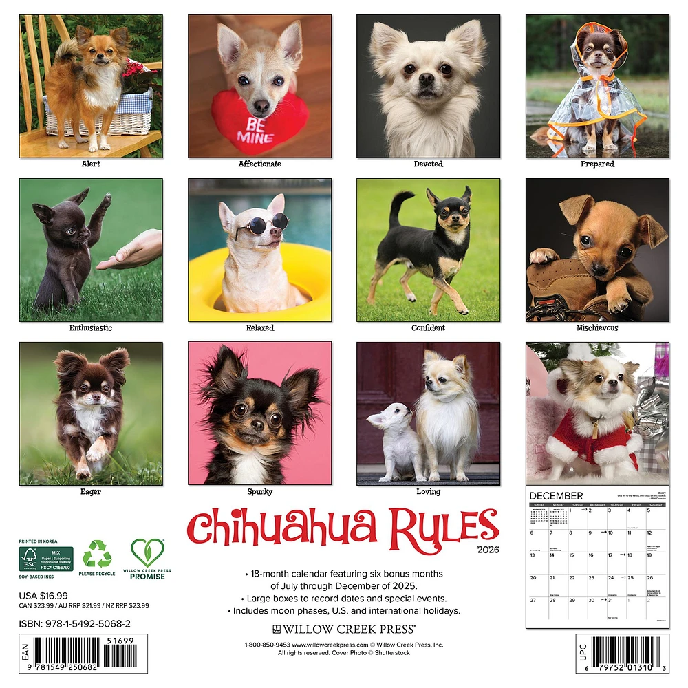 Chihuahua Rules 2026 Wall Calendar - Online Exclusive