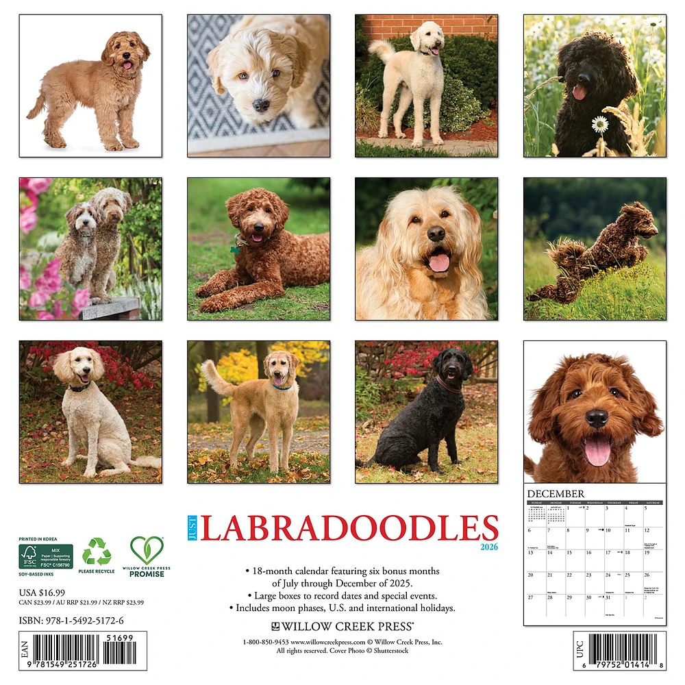 Just Labradoodles 2026 Wall Calendar
