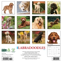 Just Labradoodles 2026 Wall Calendar