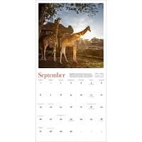 Giraffe Manor 2026 Wall Calendar - Online Exclusive