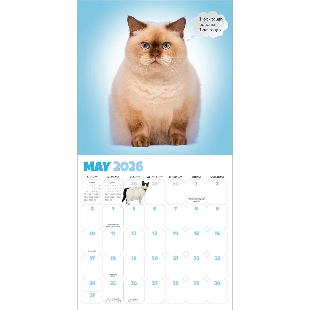Chonkers 2026 Wall Calendar
