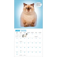 Chonkers 2026 Wall Calendar
