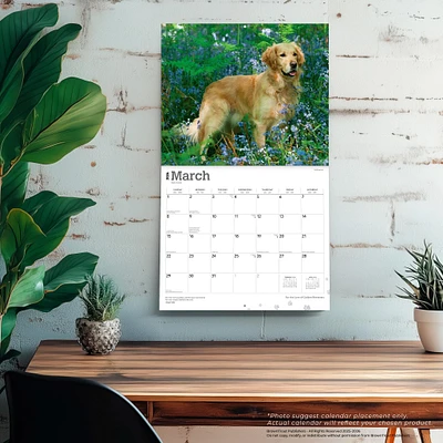 For The Love Of Golden Retrievers 2026 Wall Calendar