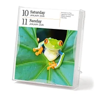 Audubon Nature Gallery 2026 Box Calendar