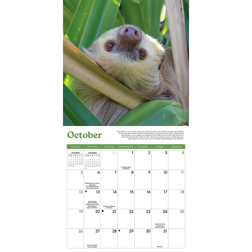 Sloths Mini 2025 Calendar