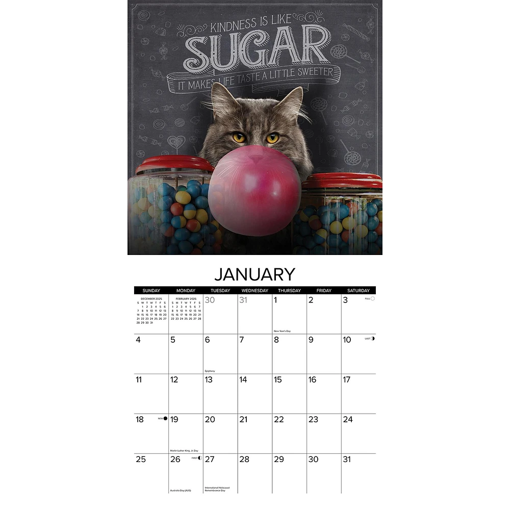 Catspirations 2026 Wall Calendar