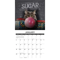 Catspirations 2026 Wall Calendar