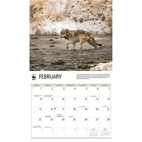 World Wildlife Fund Wolves 2026 Wall Calendar