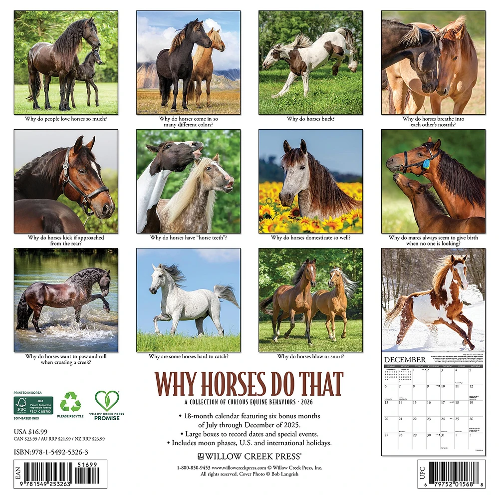 Why Horses Do That 2026 Wall Calendar