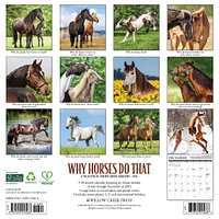 Why Horses Do That 2026 Wall Calendar