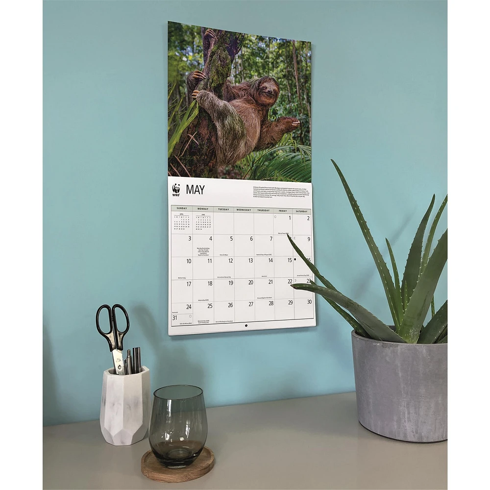 World Wildlife Fund Sloths 2026 Wall Calendar