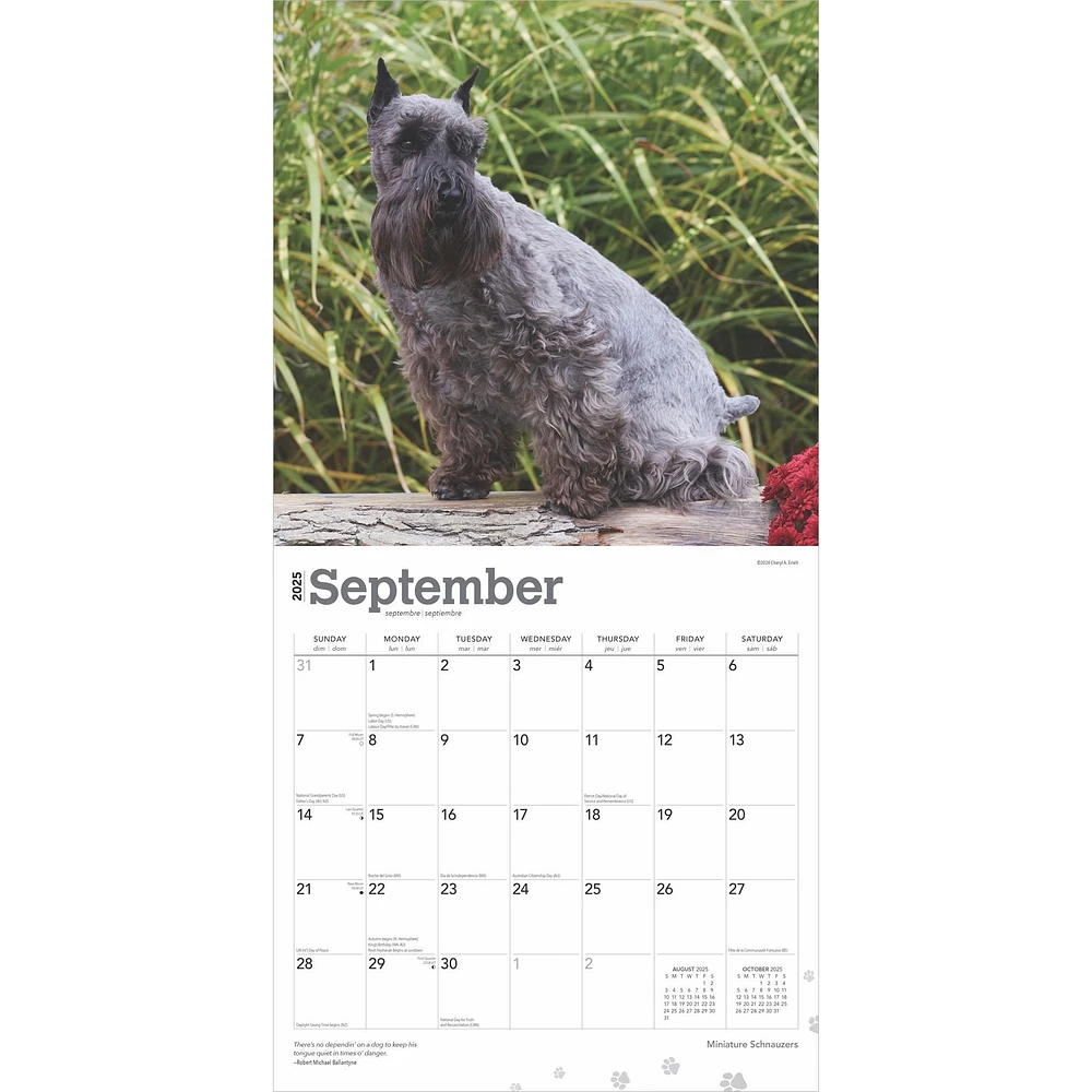 Schnauzers Miniature Wall 2025 Calendar