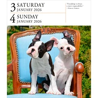 Dog Gallery 2026 Box Calendar