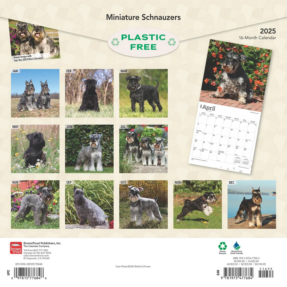 Schnauzers Miniature Wall 2025 Calendar