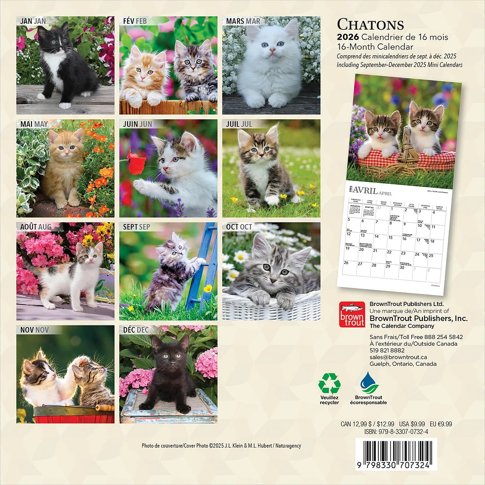 Chatons 2026 Mini Calendar (French)