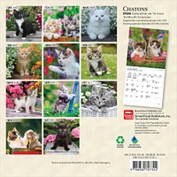 Chatons 2026 Mini Calendar (French)