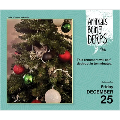 Animals Being Derps 2026 Box Calendar