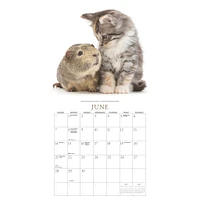 Kittens And Friends Wall  2026 Calendar