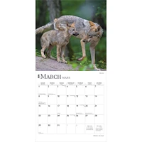 Les Loups 2026 Wall Calendar (French)