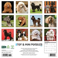Toy And Miniature Poodles 2026 Wall Calendar - Online Exclusive