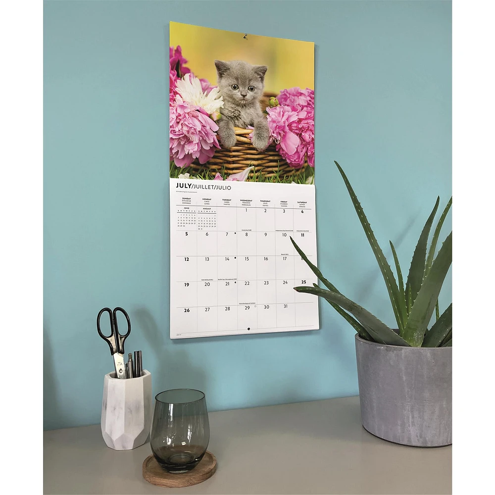 Cute Kittens 2026 Wall Calendar