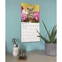 Cute Kittens 2026 Wall Calendar