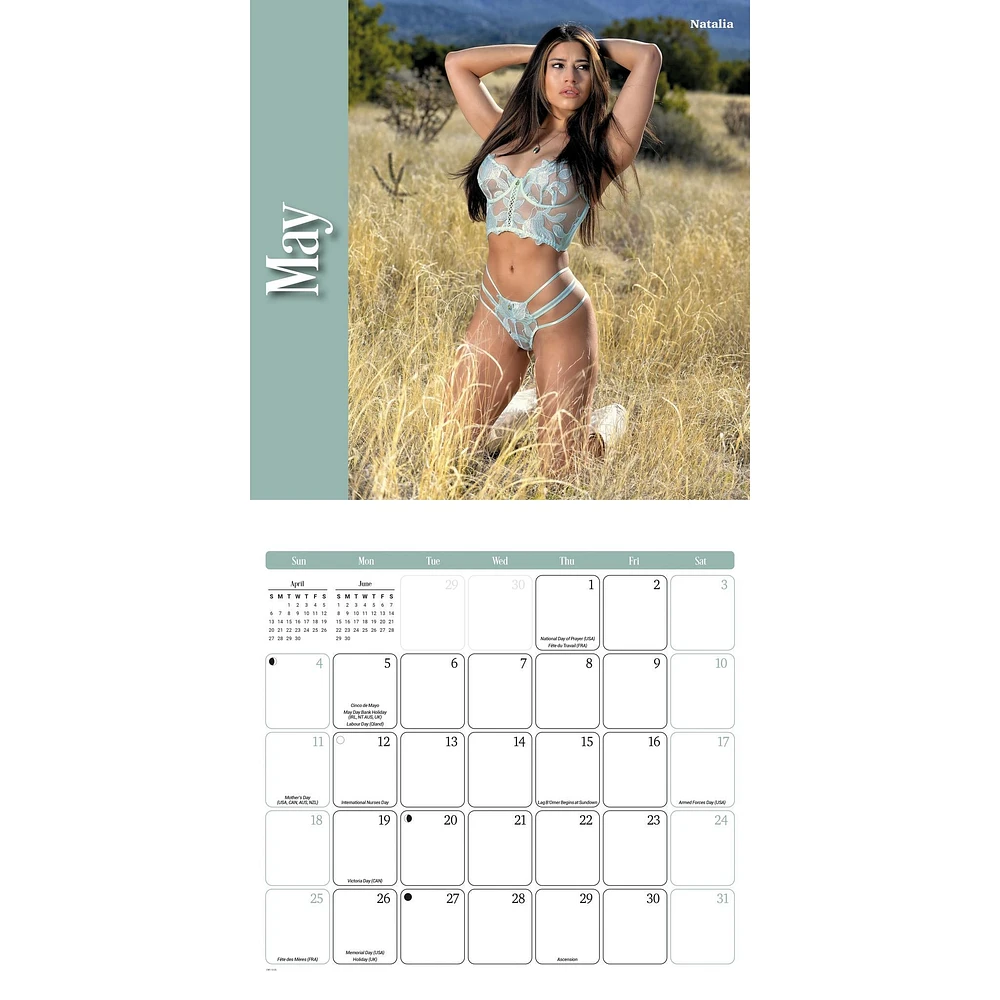 Lingerie Wall 2025 Calendar