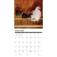 Chickens Just Us Wall 2025 Calendar - Online Exclusive