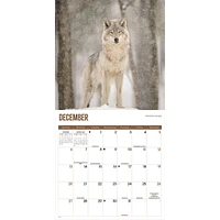 Wolves 2026 Wall Calendar