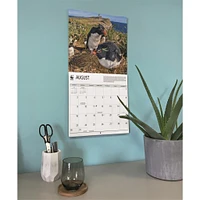World Wildlife Fund Penguins 2026 Wall Calendar