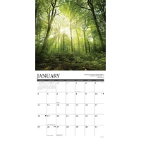 Heaven Has A Forest 2026 Wall Calendar - Online Exclusive
