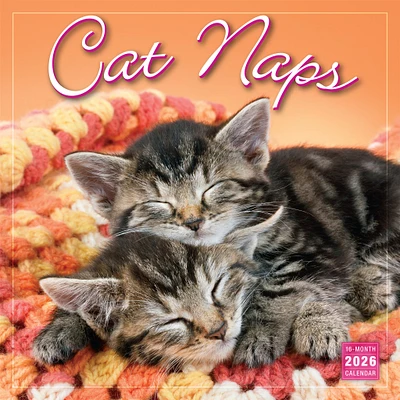 Cat Naps 2026 Wall Calendar - Online Exclusive