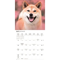 Shiba Inu 2026 Wall Calendar