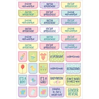 Pregnancy and Babys 1st Year Planner Stickers