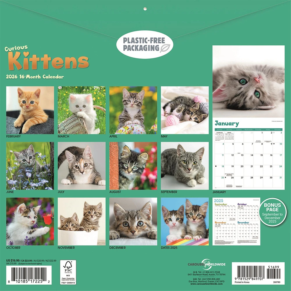 Curious Kittens 2026 Wall Calendar