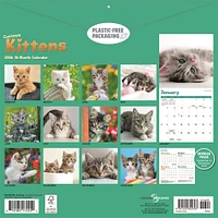 Curious Kittens 2026 Wall Calendar