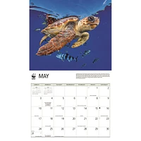 World Wildlife Fund Sea Turtles 2026 Wall Calendar