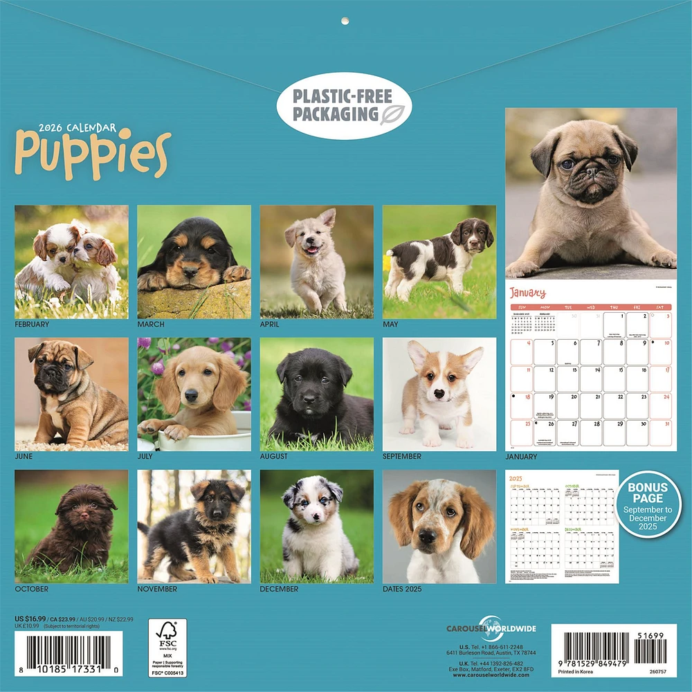 Puppies 2026 Wall Calendar