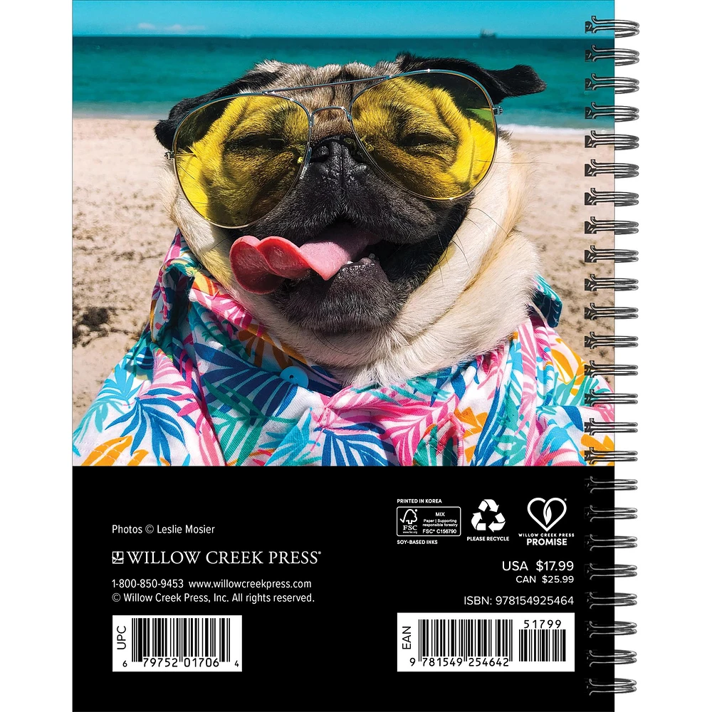 Doug The Pug 2026 Engagement Calendar - Online Exclusive