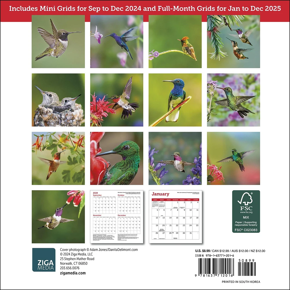 Hummingbirds Mini 2025 Calendar