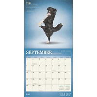 Yoga Dogs Wall 2025 Calendar