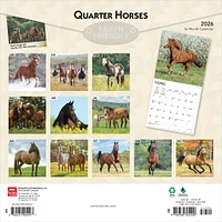 Quarter Horses 2026 Wall Calendar - Online Exclusive