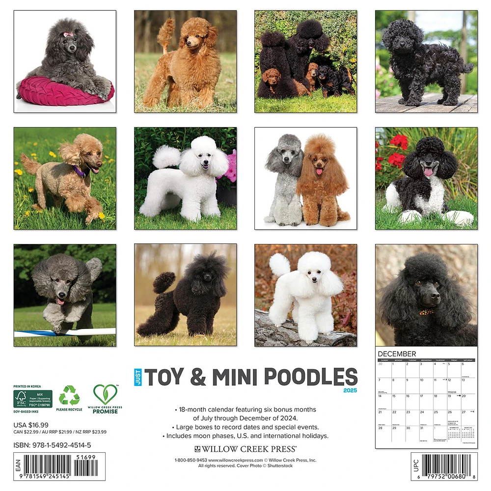 Toy And Miniature Poodles Wall 2025 Calendar - Online Exclusive