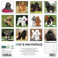 Toy And Miniature Poodles Wall 2025 Calendar - Online Exclusive